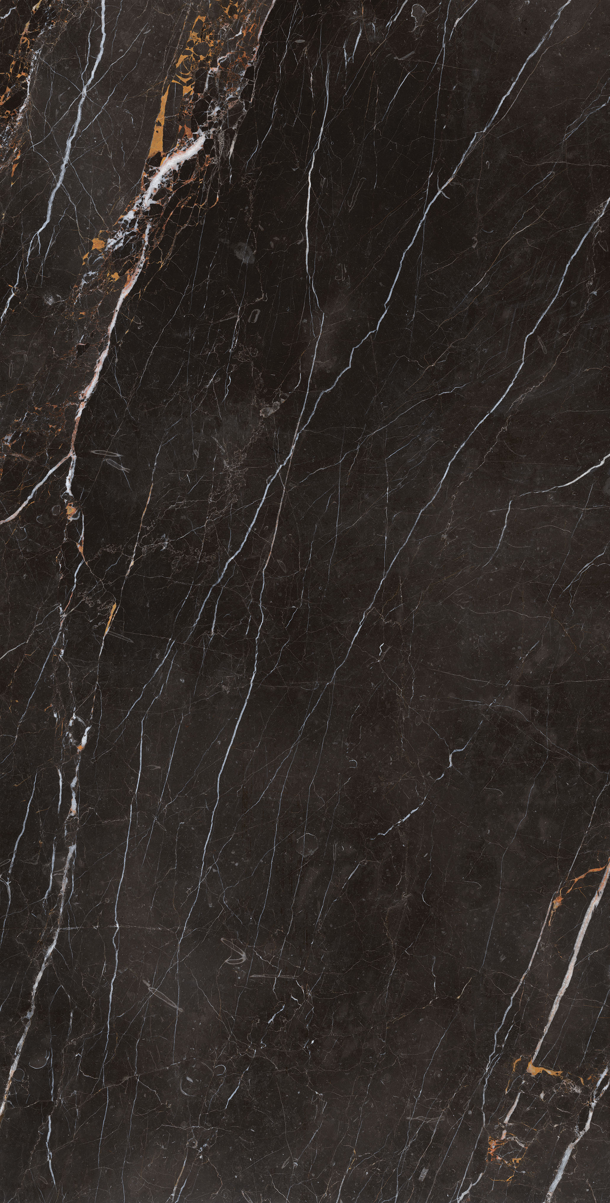 FB18004 卡里羅納(加黑版）