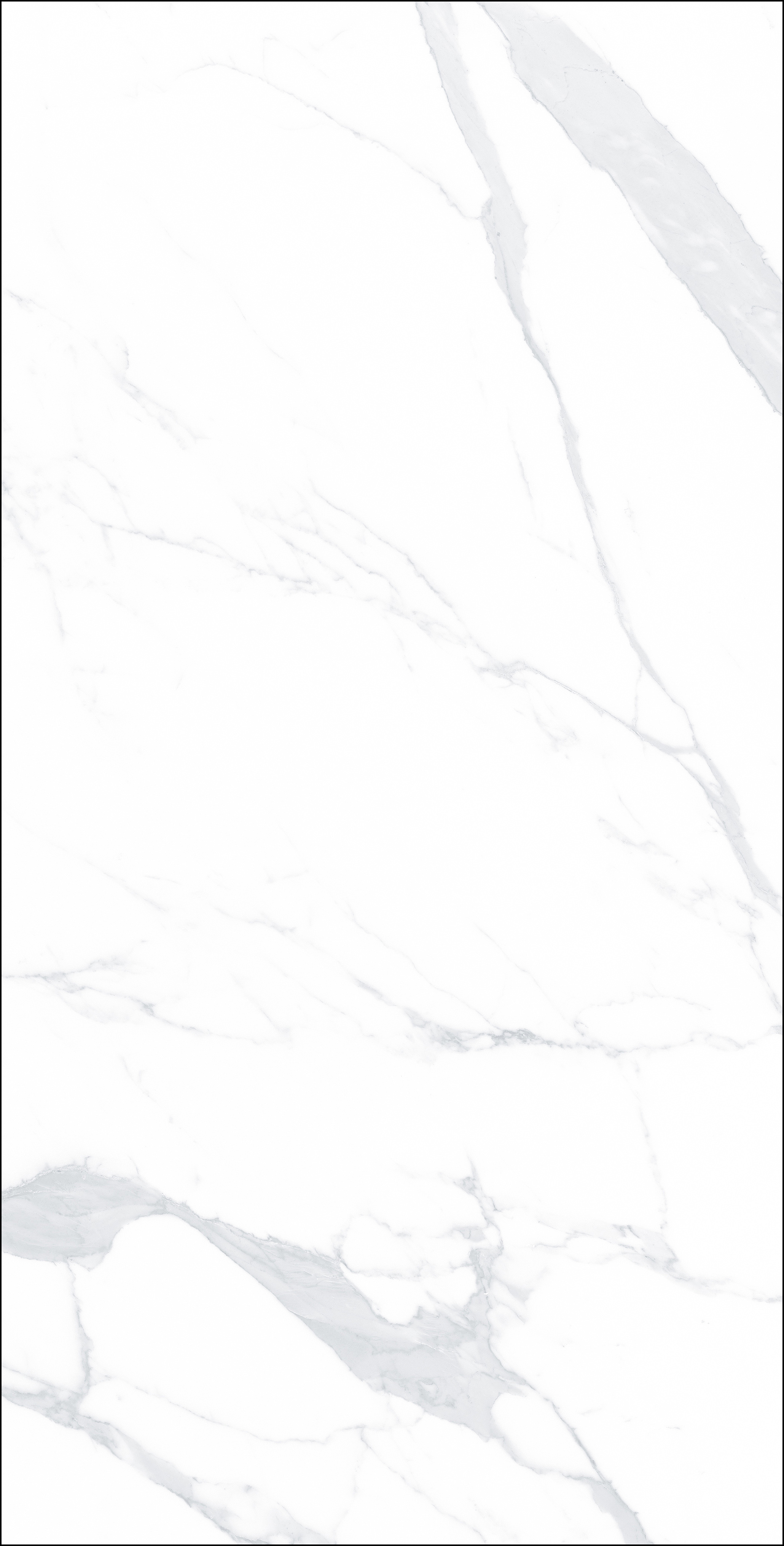 FB18005 歐普爵士白