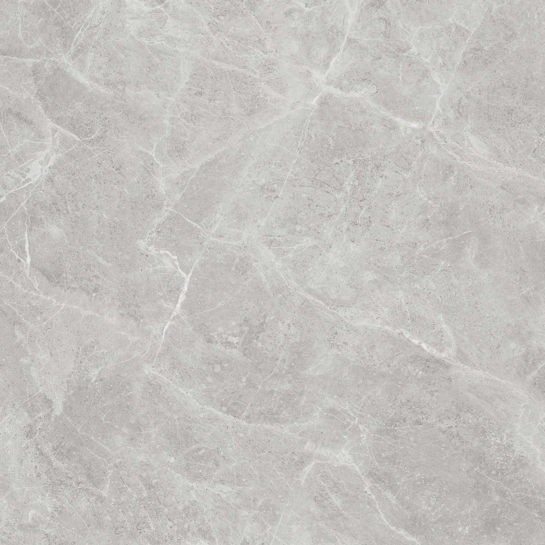 OFTT80018B 達爾曼灰