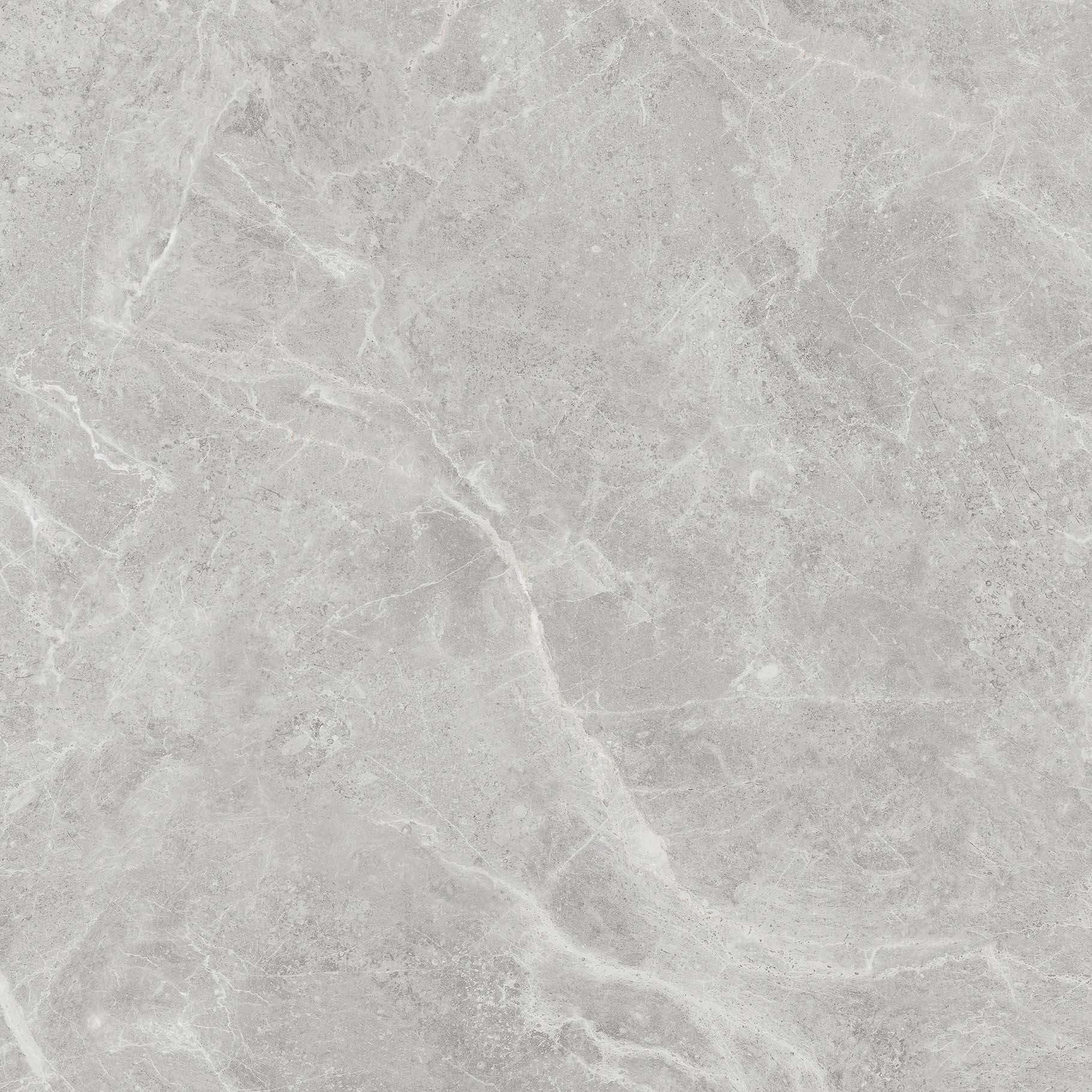 OFTT80018B 達爾曼灰