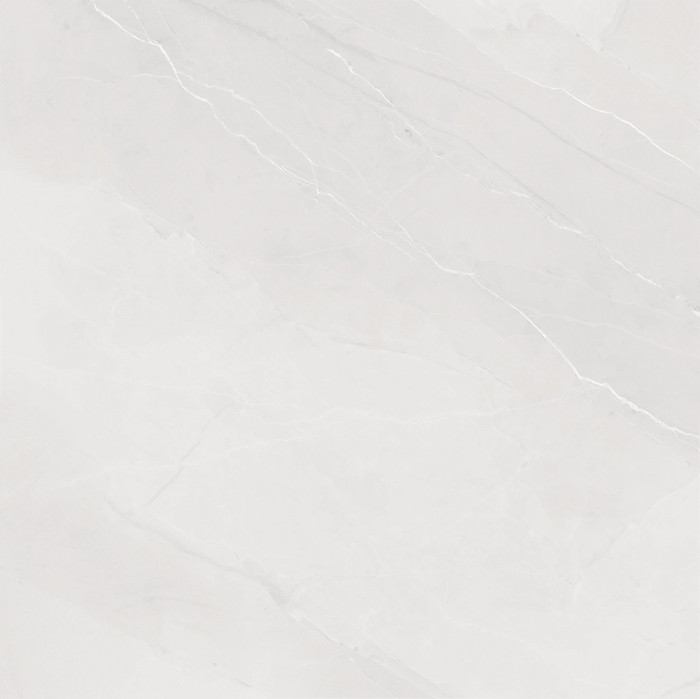 OFTT80015B 金秋杏