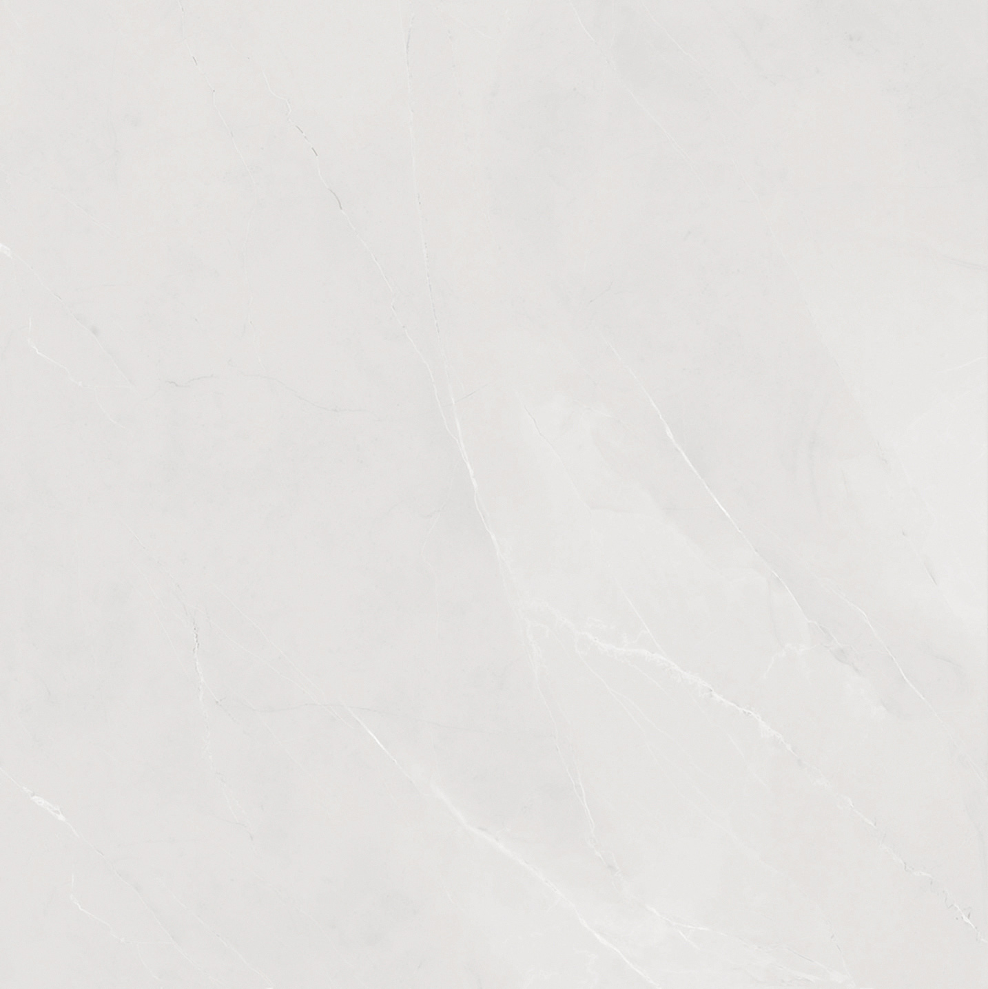 OFTT80015B 金秋杏