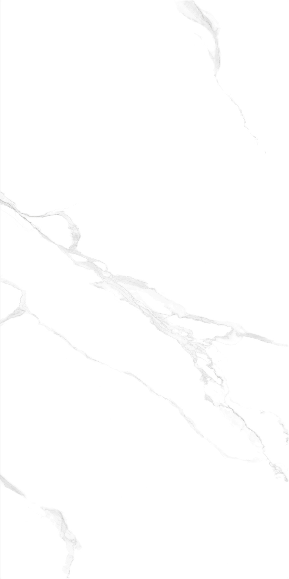 FTB15004 斯拉夫白（連紋）