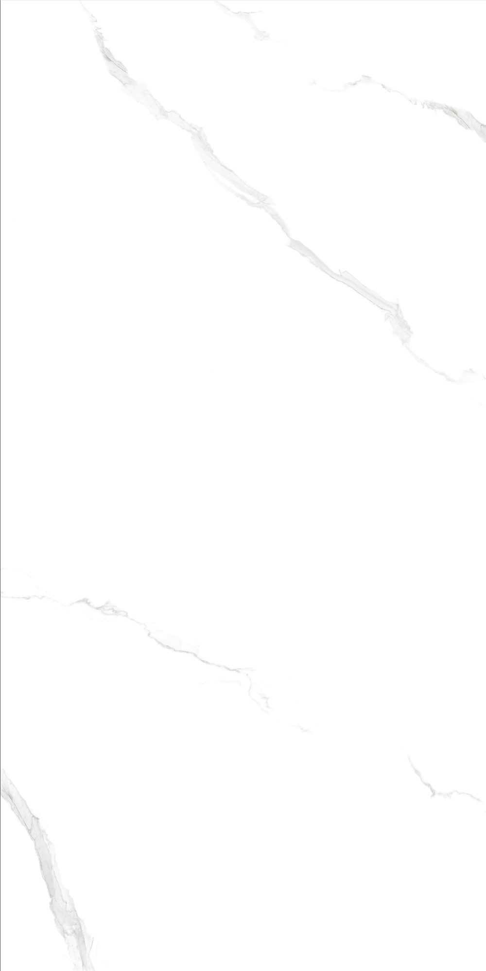 FTB15004 斯拉夫白（連紋）