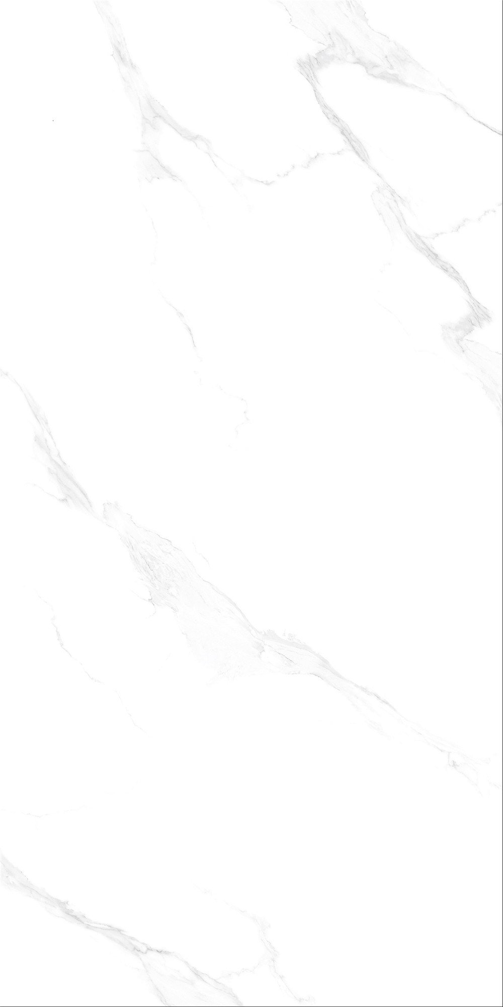 FTB15014 安娜白（連紋）