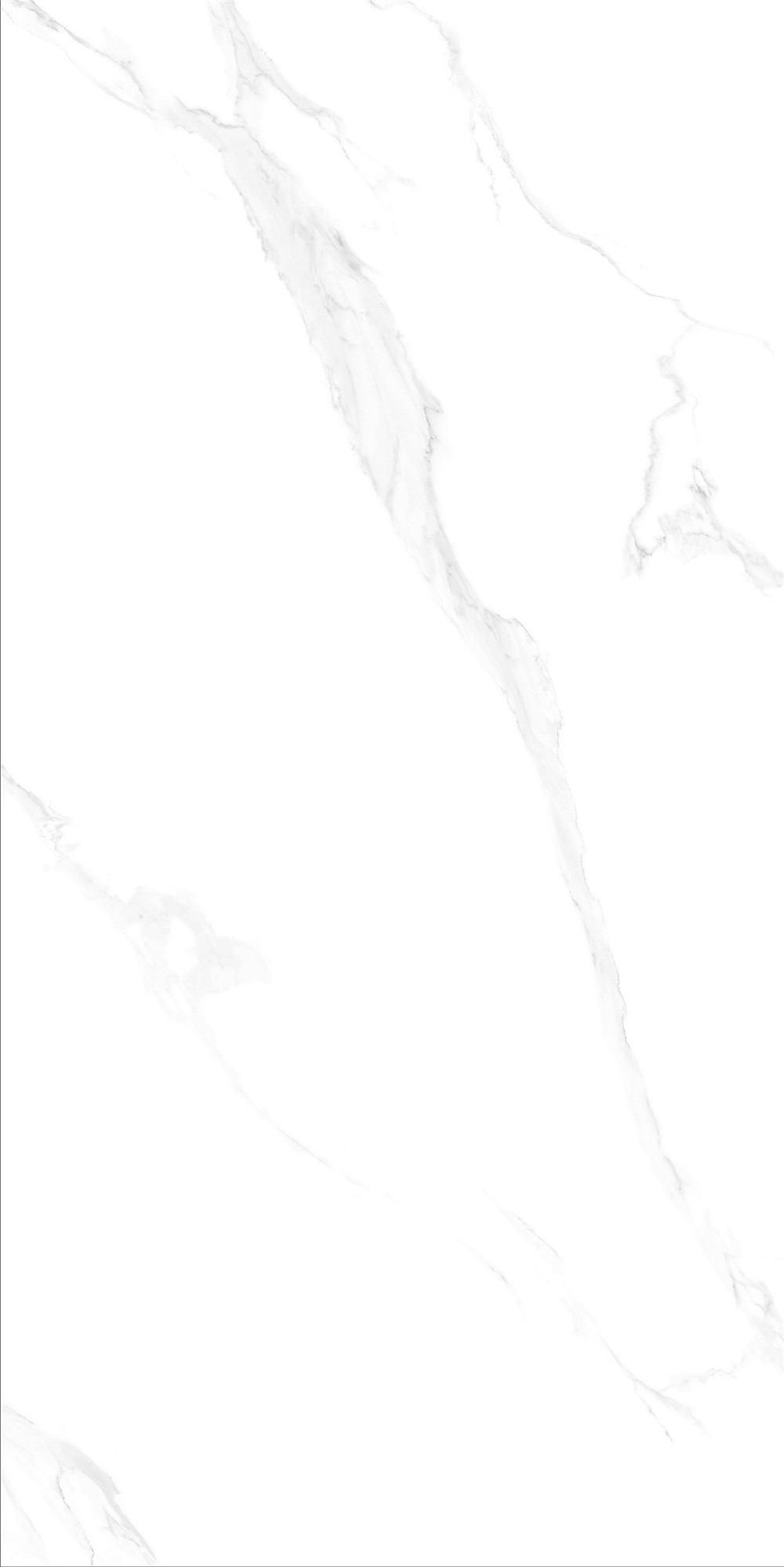 FTB15014 安娜白（連紋）