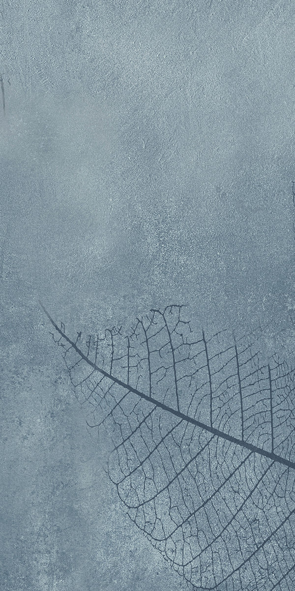 FTB15021 淺影拾光（連紋）