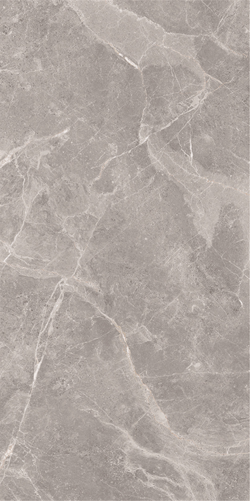 FTB12016 奧斯米灰