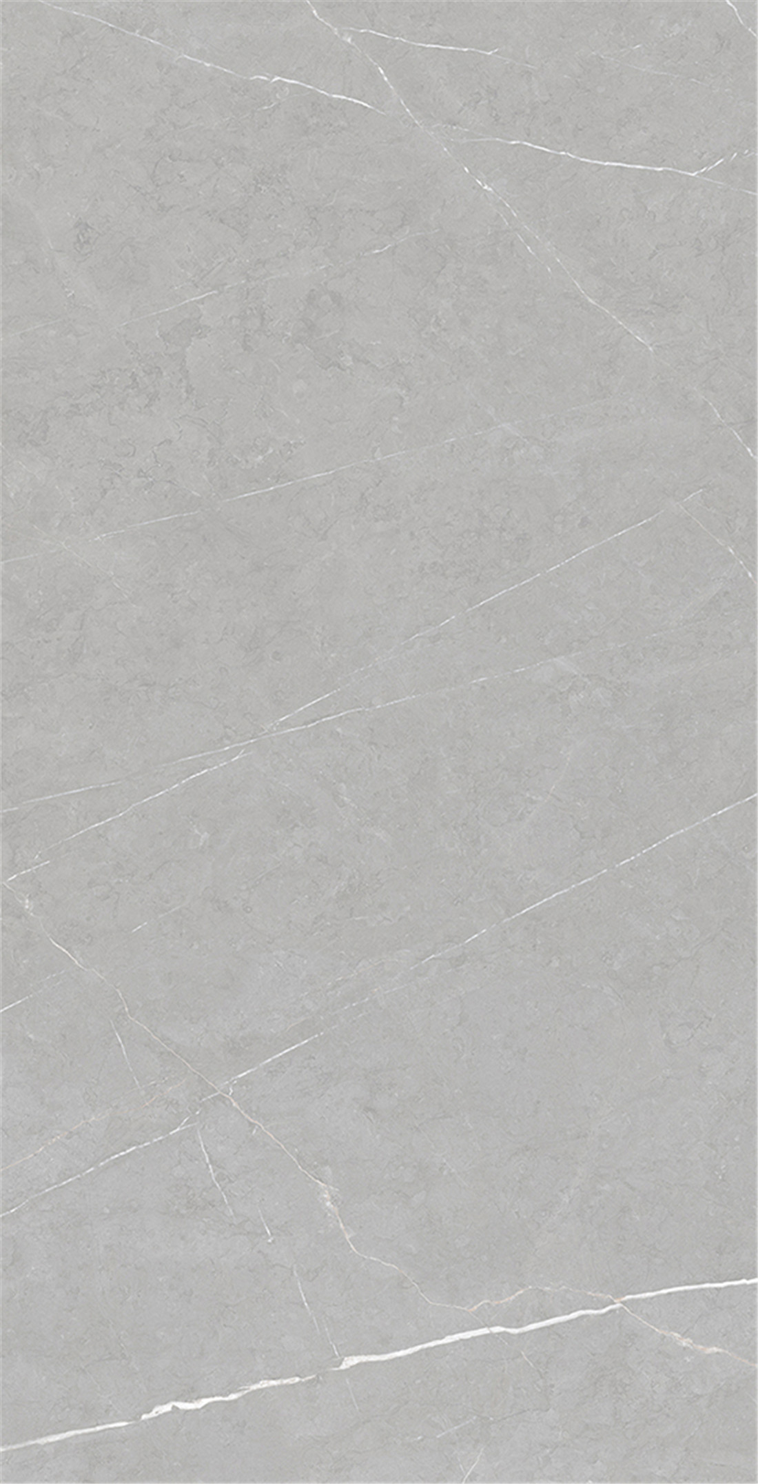 FTB12035 保加利亞