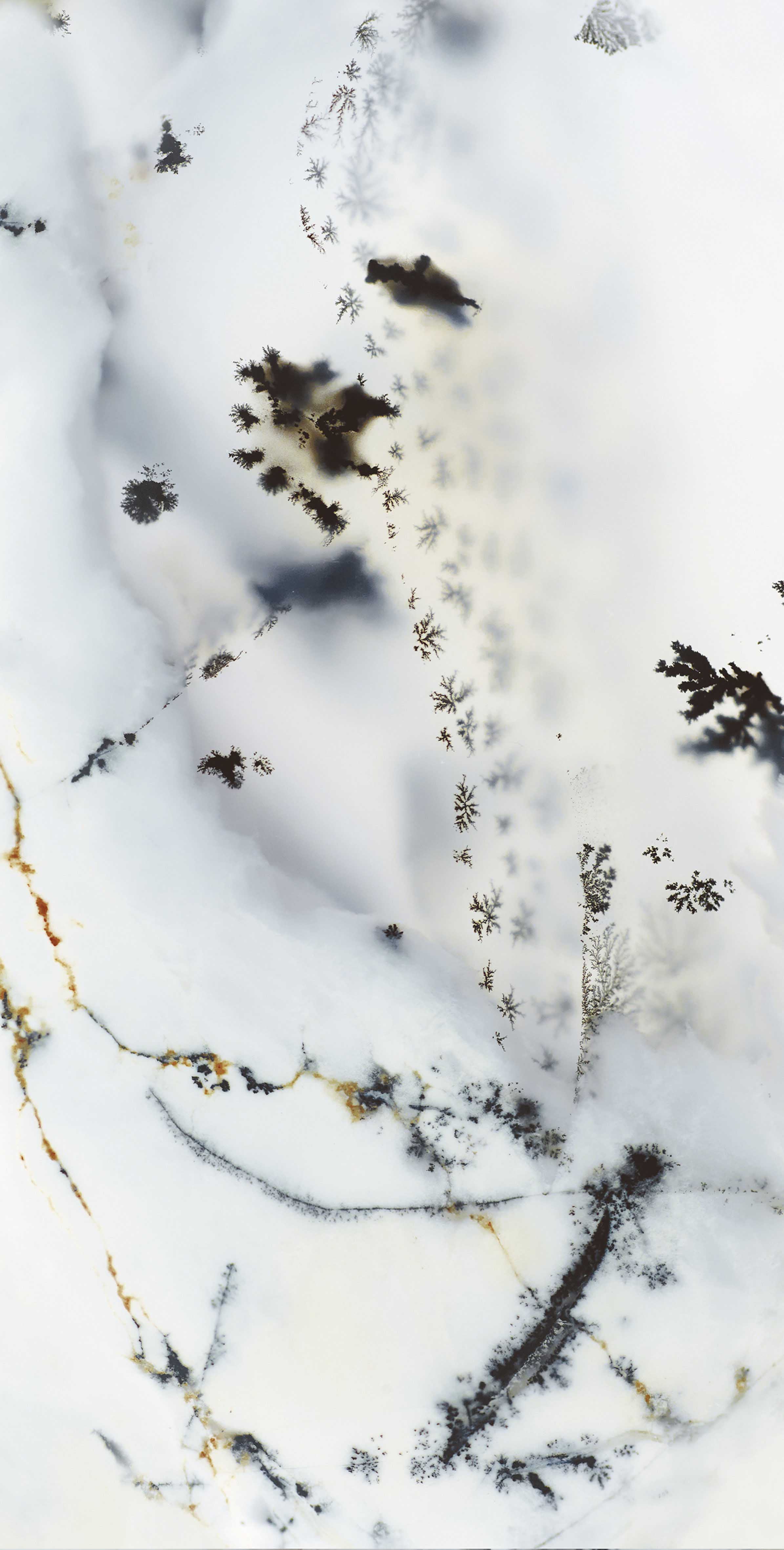 FTB12066 煙雨松露