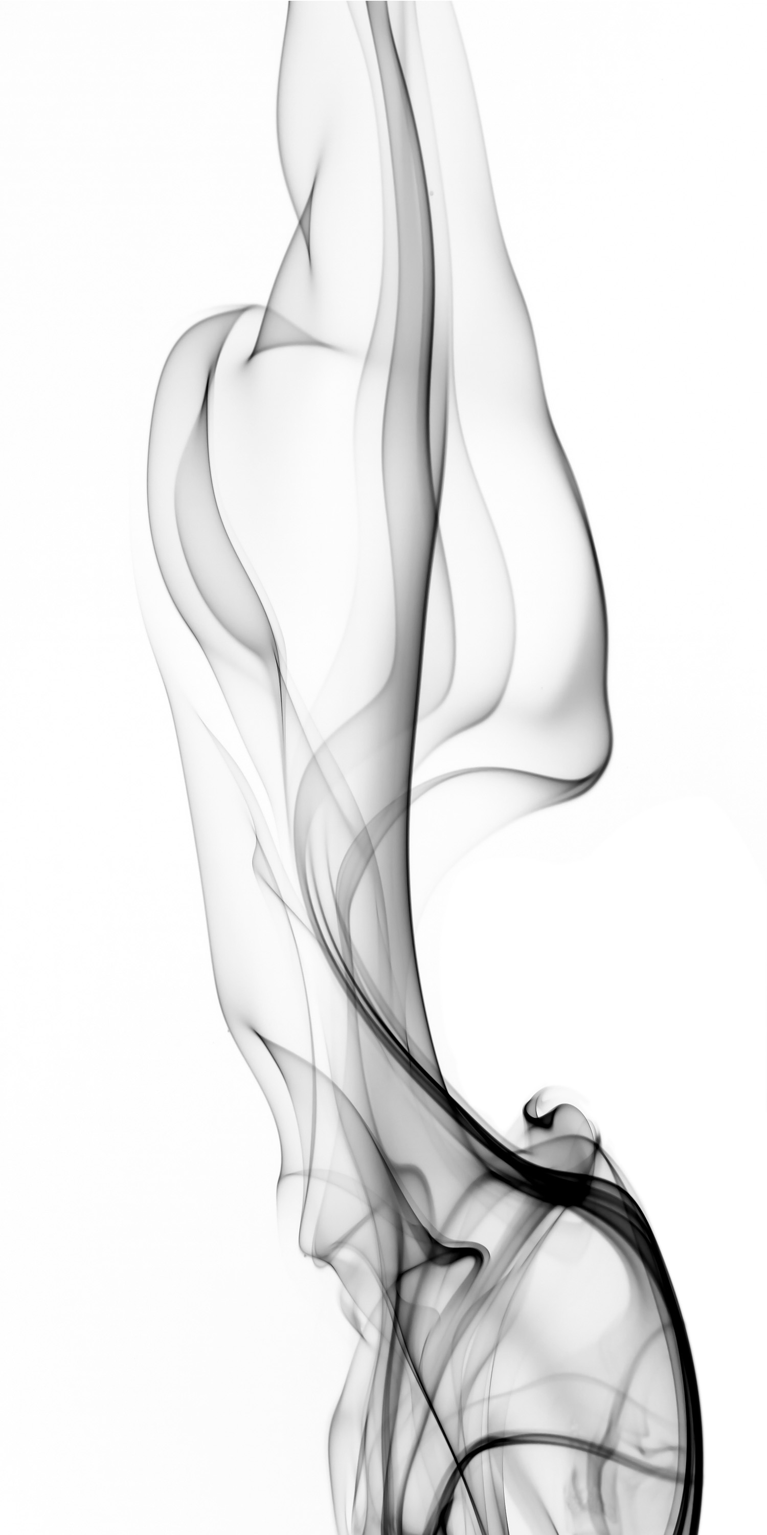 FTB15020  水墨清韻（連紋）