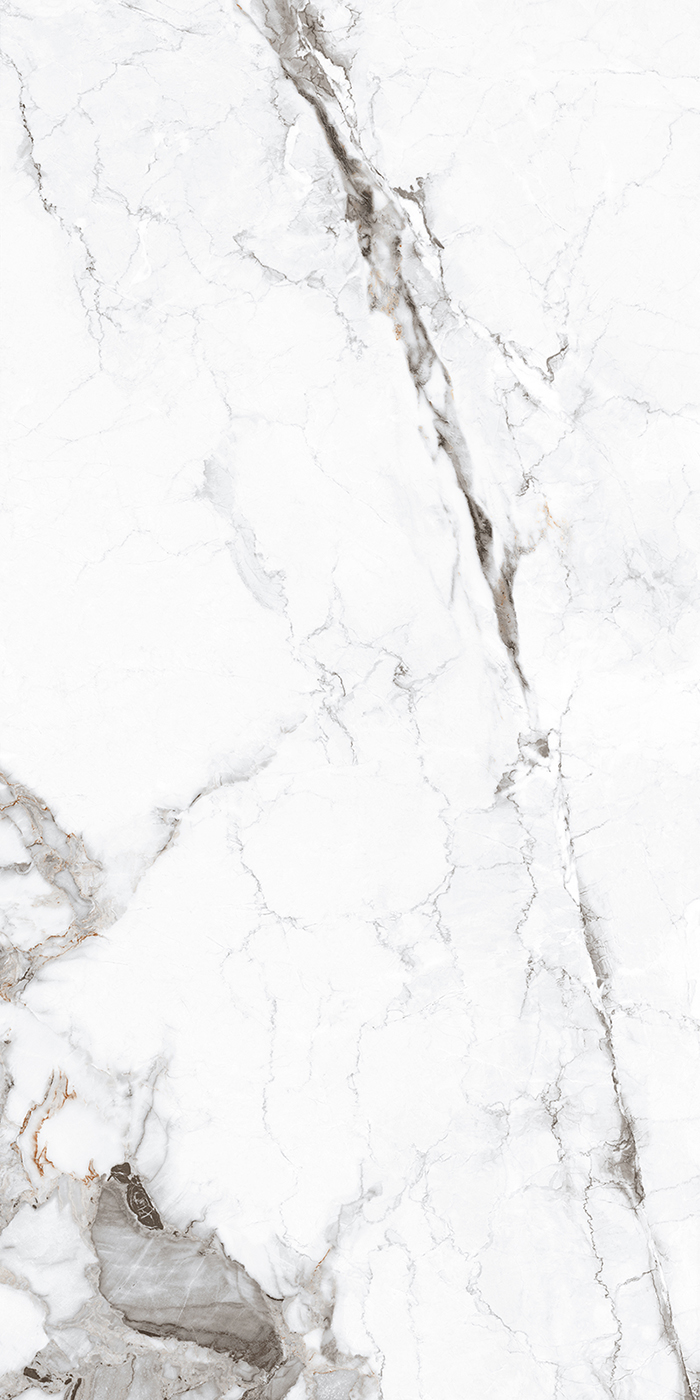 FTB15029 卡若拉白