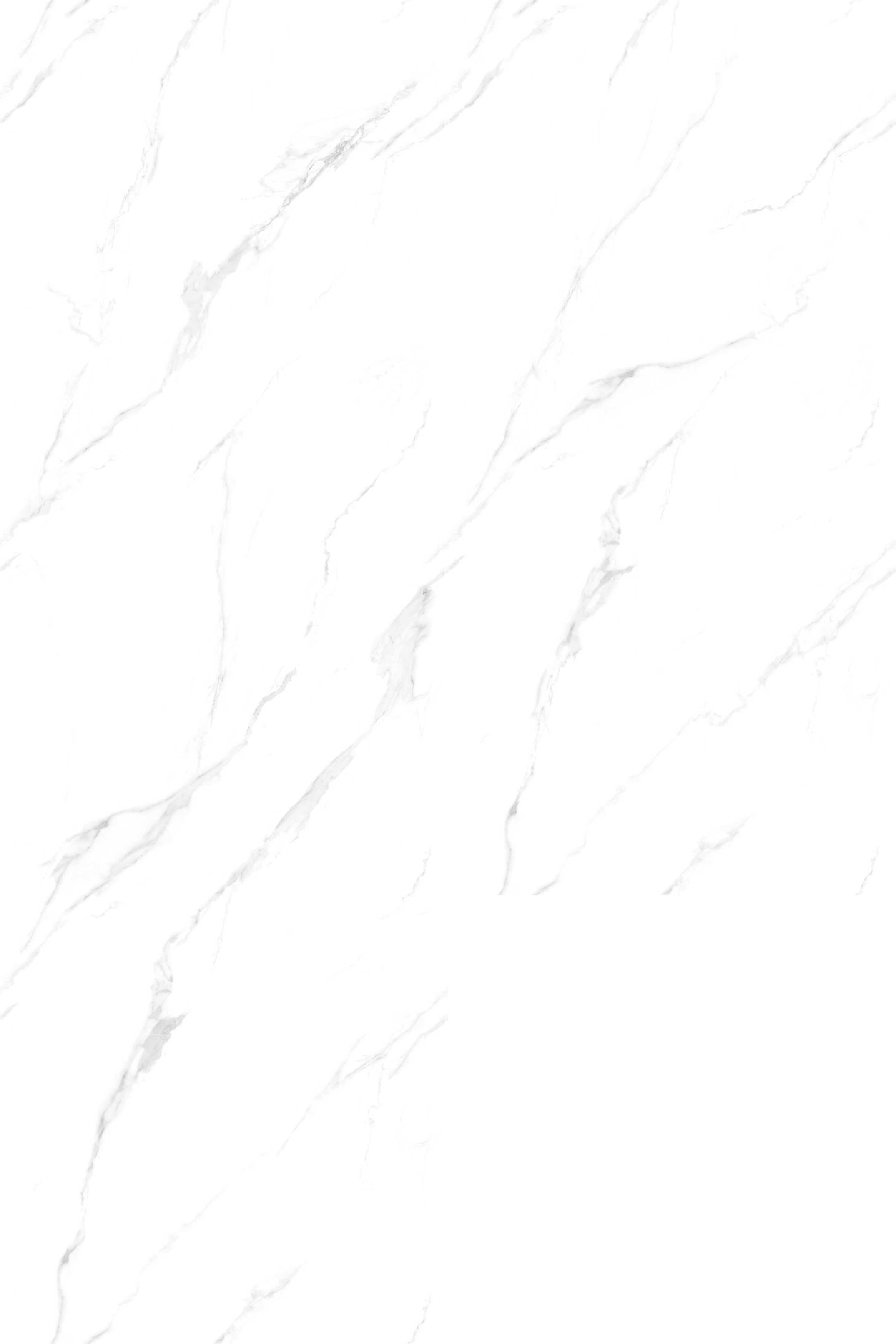 OFTL80121（任意連紋）