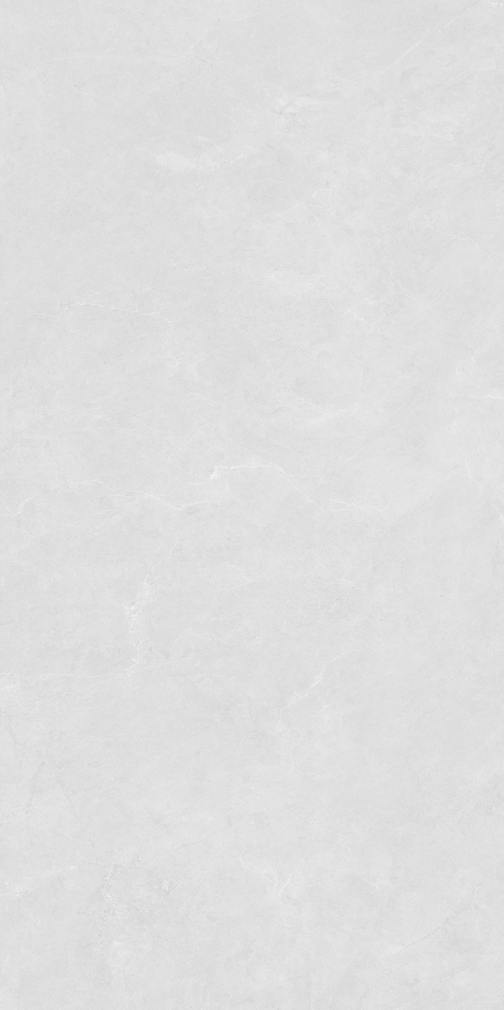 FTSZ12304A 薄紗灰