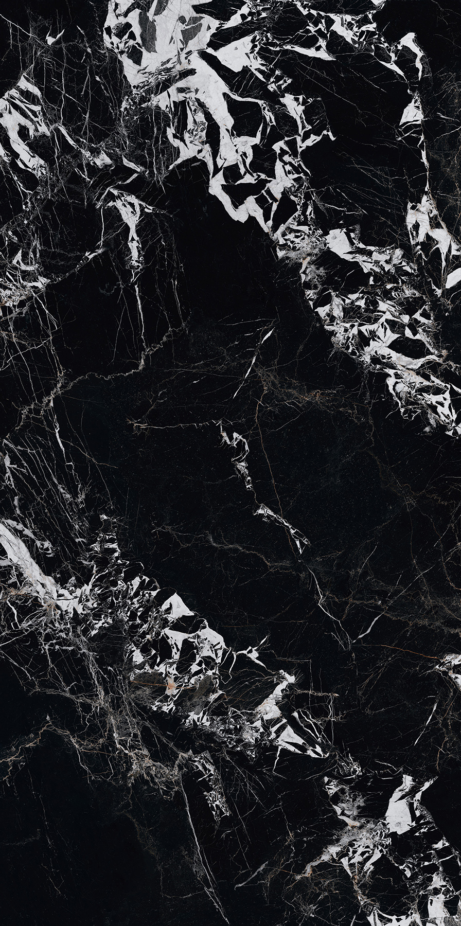 FTFZ12236寶格麗黑